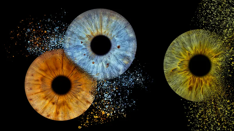 Logo de l'entreprise You & Eye Photo