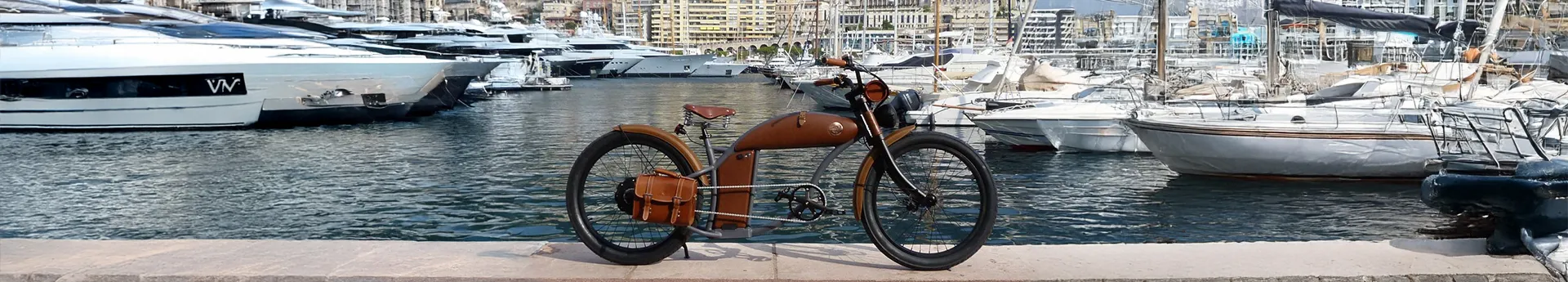 Logo de l'entreprise MonecoBike