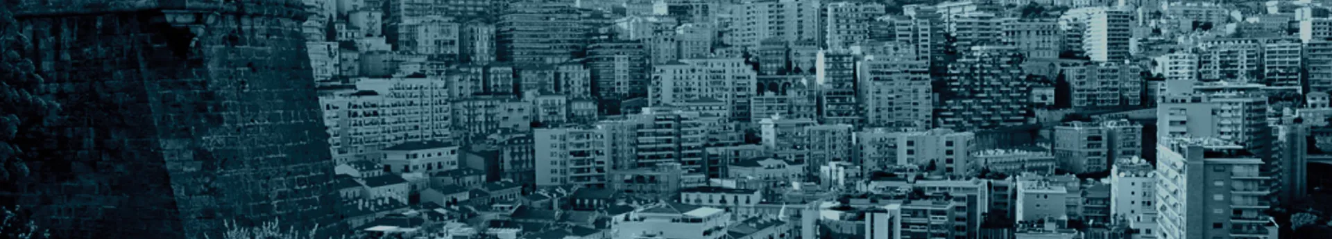 Logo de l'entreprise Rosemont Monaco