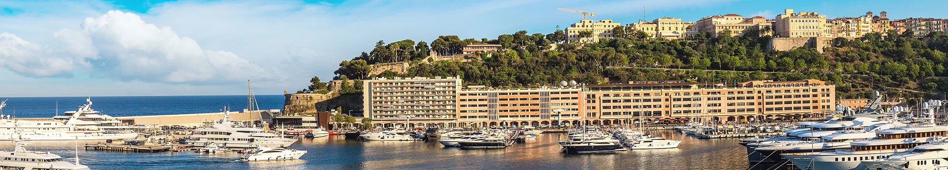 Logo de l'entreprise Centre Scientifique de Monaco