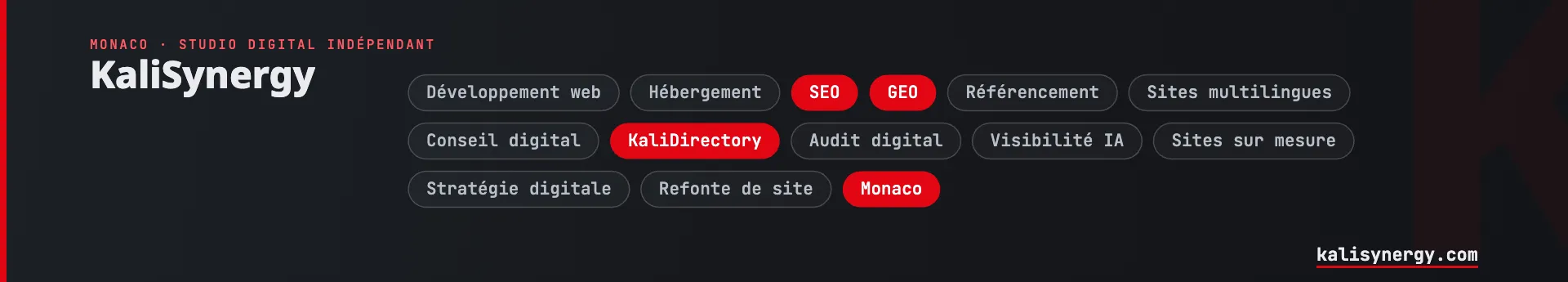 Logo de l'entreprise KaliSynergy